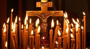 Поздравления на Всемирный день дикой природы 2019 в стихах в 2019 году Поздравления на Всемирный день дикой природы 2019 в стихах в 2019 году