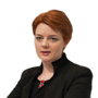 Систему е-декларирования будут валить различными способами. author