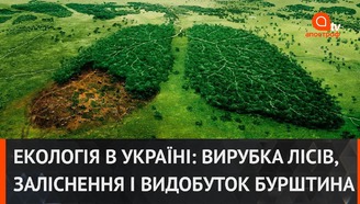 youtube image